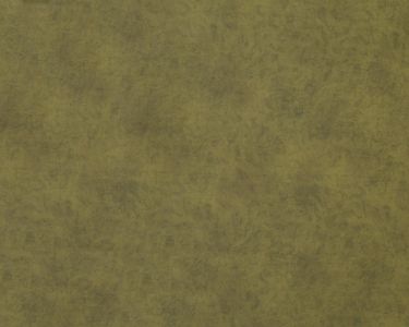 Материал: Гоя (Goya), Цвет: goya olive